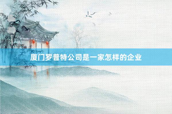 厦门罗普特公司是一家怎样的企业